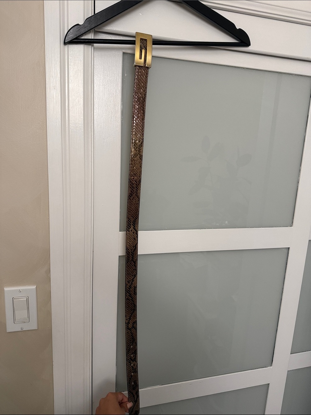 Brown Snake-Print Belt with Gold Buckle